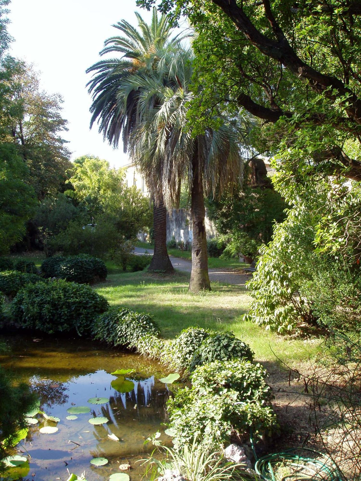 Hagley Park Hidden Gem Apartment Christchurch Bagian luar foto